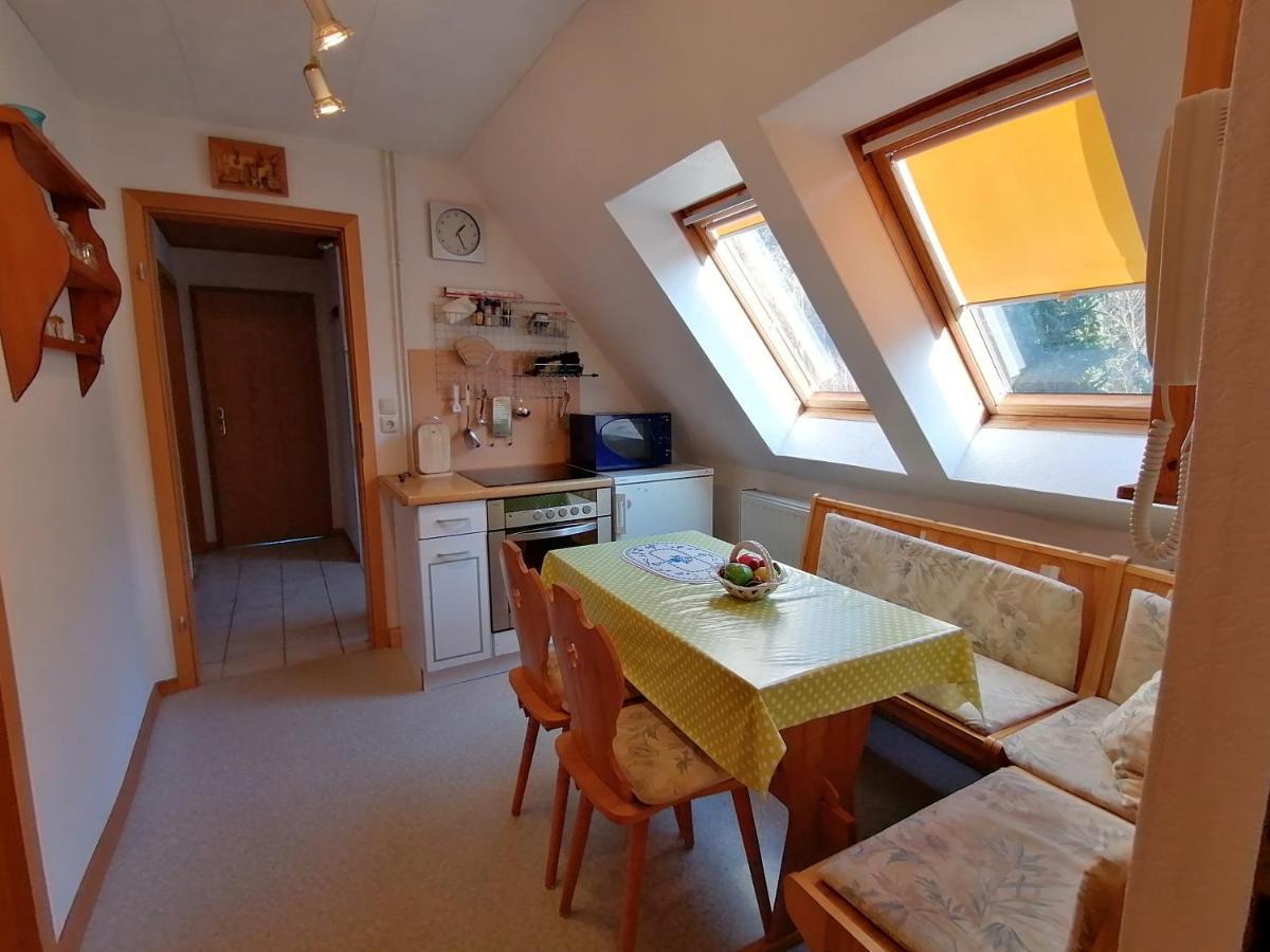 Ferienwohnung Haus Am Waldrand Freital Exterior foto